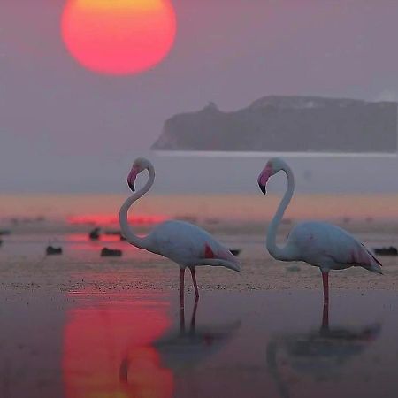 Suite Sardinia Holiday Кальяри Экстерьер фото